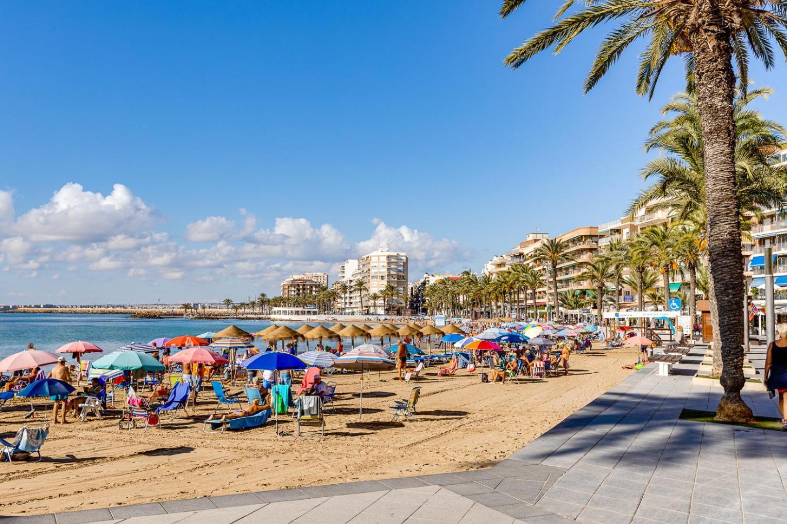 Calle Concordia 86, Two Bedroom Apartment, Up To 6 Guests, Near Del Cura Beach,Supermarket Mercadona And Central Bus Station Torrevieja Eksteriør billede