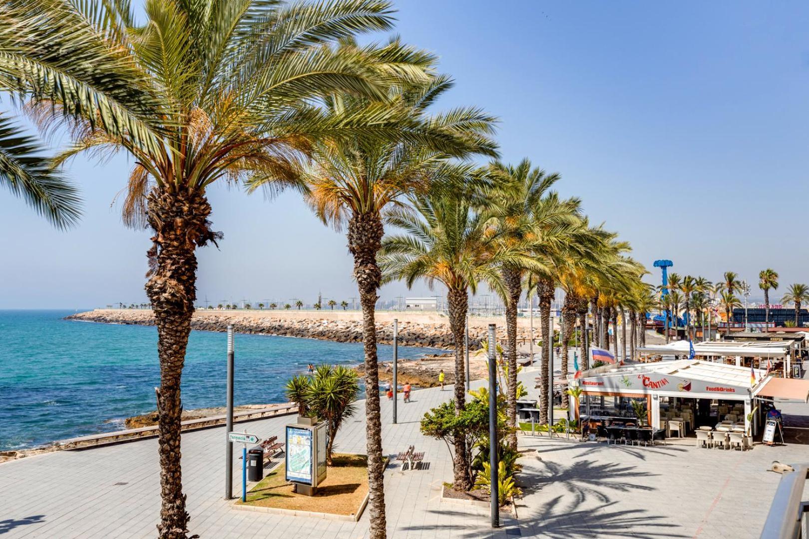Calle Concordia 86, Two Bedroom Apartment, Up To 6 Guests, Near Del Cura Beach,Supermarket Mercadona And Central Bus Station Torrevieja Eksteriør billede